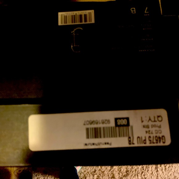 Coach New Boats - Picture 2 of 5